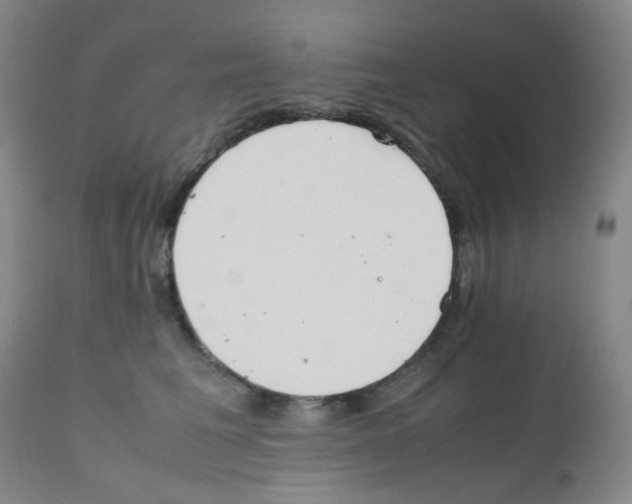 X0000111850613200909031729