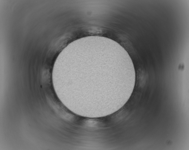X0000111850614200909031729