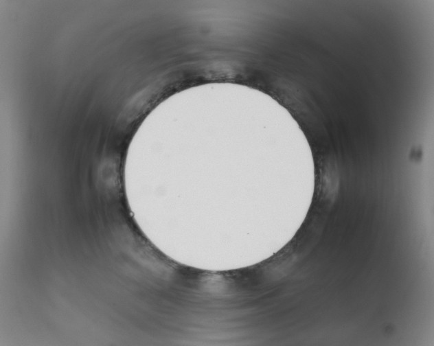 X0000111850616200909031729