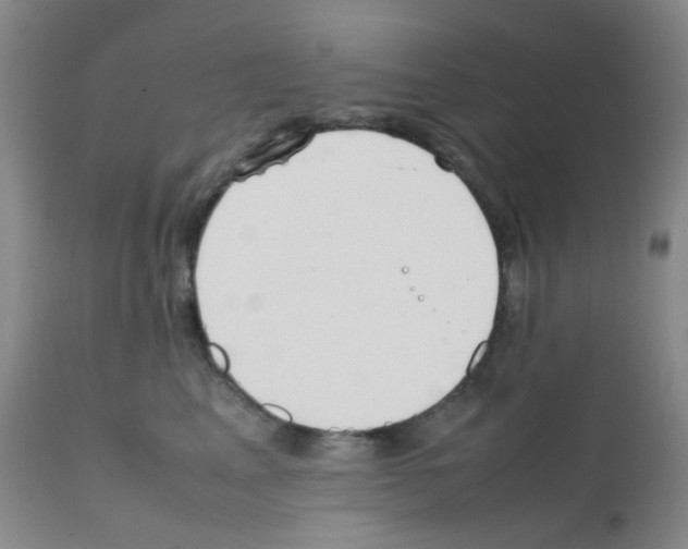 X0000111850617200909031728