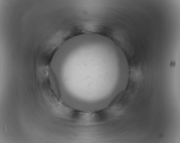 X0000111850621200909031728