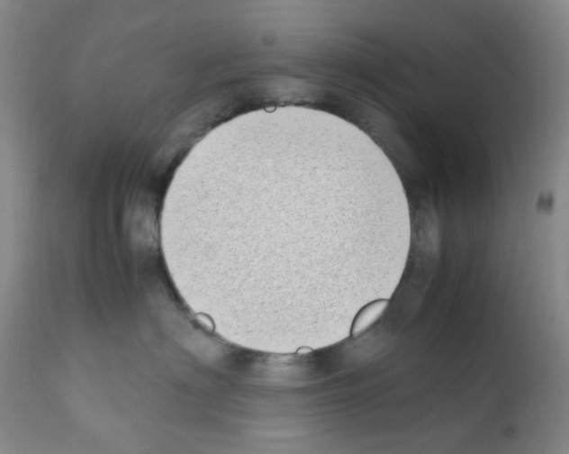 X0000111850622200909031728