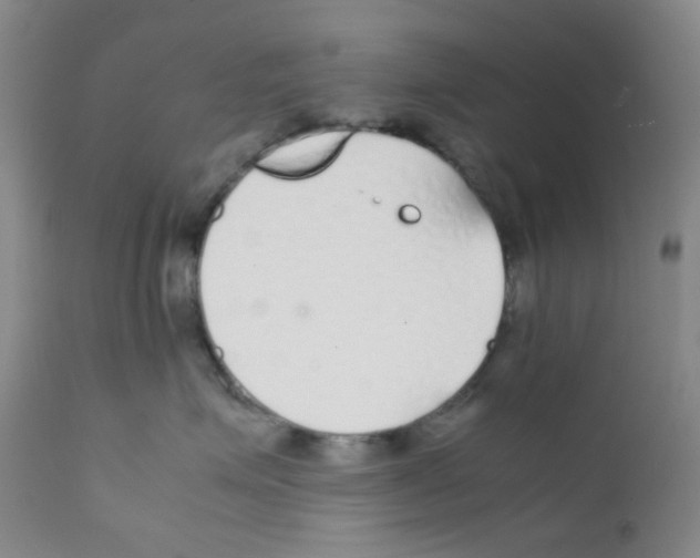 X0000111850623200909031728