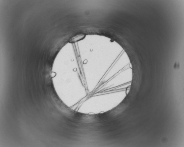 X0000111850624200909031728