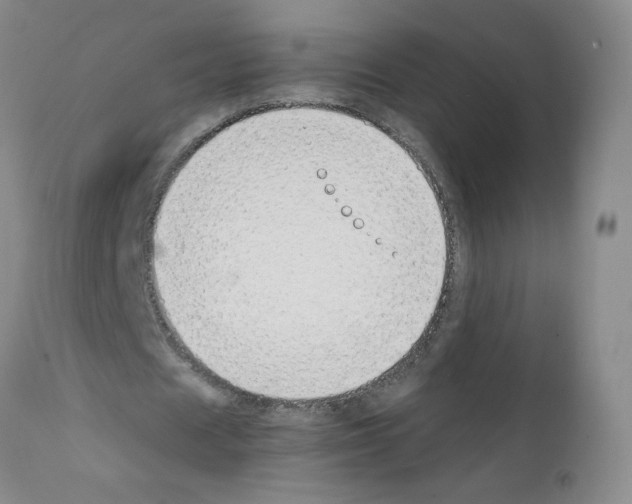 X0000111850625200909031728
