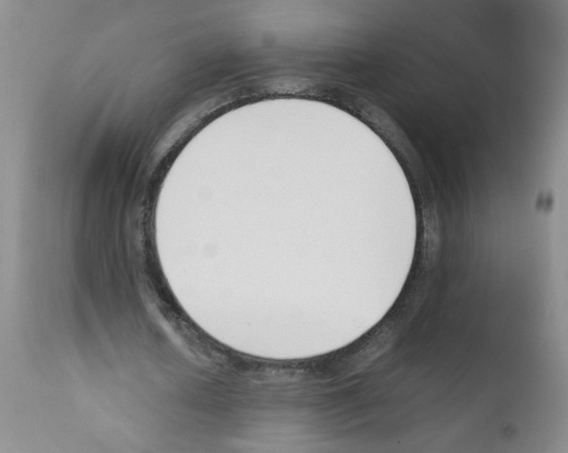 X0000111850626200909031728