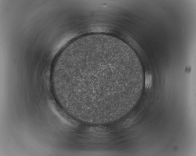 X0000111850627200909031728