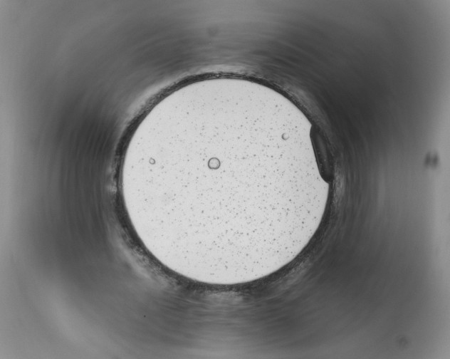 X0000111850628200909031728