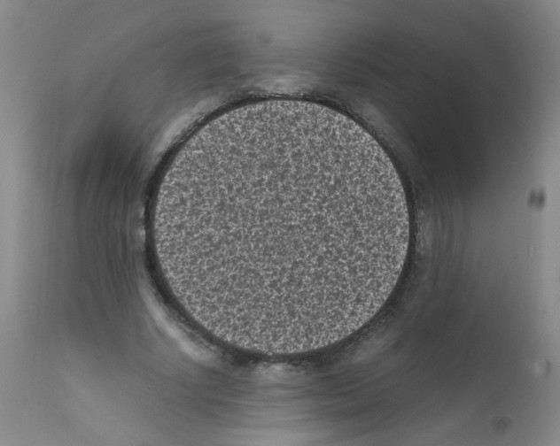 X0000111850634200909031728