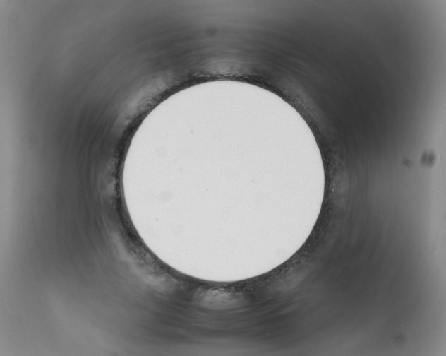 X0000111850635200909031728