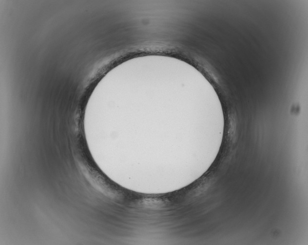 X0000111850636200909031728