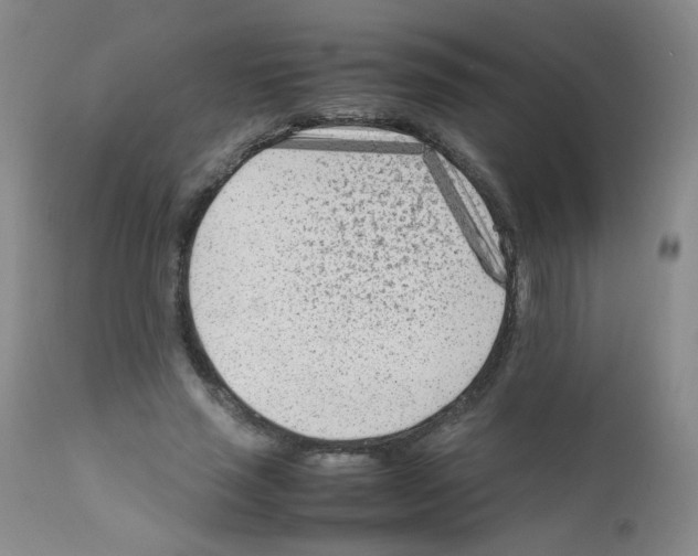 X0000111850637200909031728