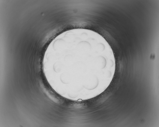 X0000111850638200909031728