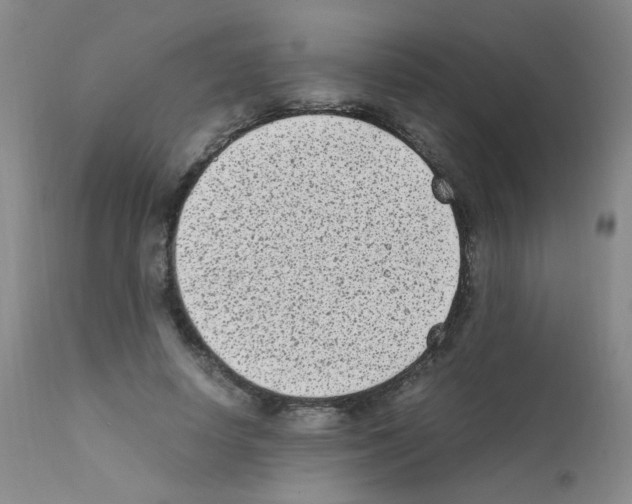 X0000111850642200909031728