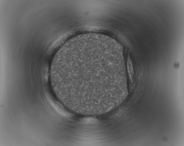 X0000111850644200909031728