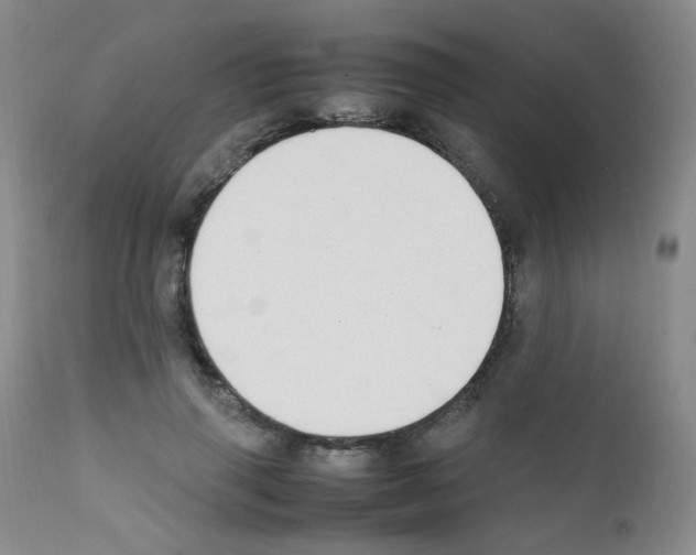 X0000111850645200909031728