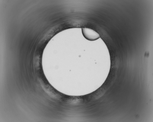 X0000111850646200909031728