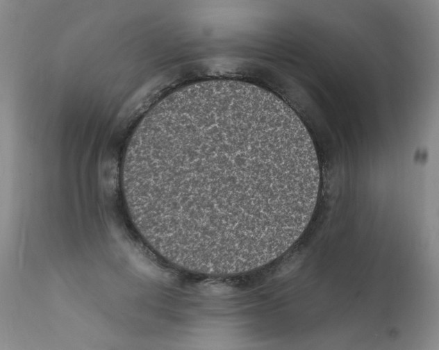 X0000111850648200909031728