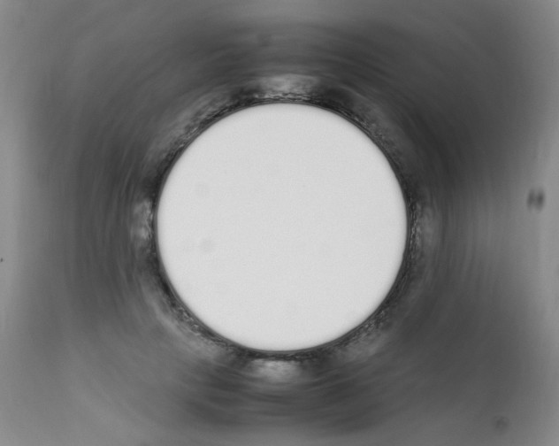 X0000111850649200909031728