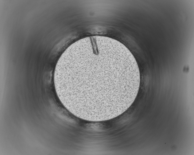X0000111850652200909031728