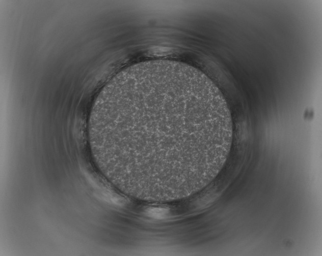 X0000111850653200909031728