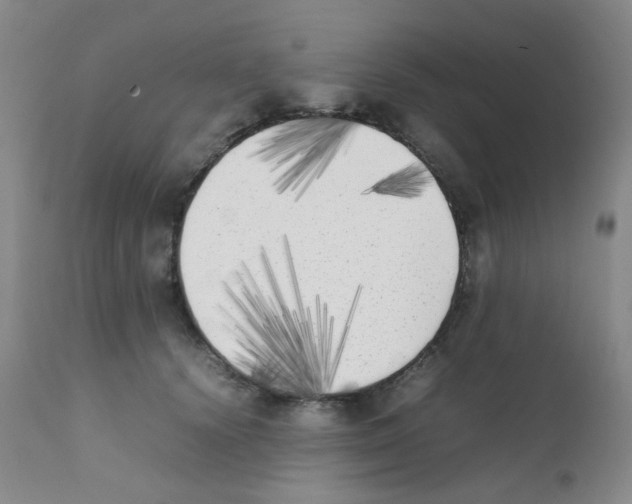 X0000111850656200909031728