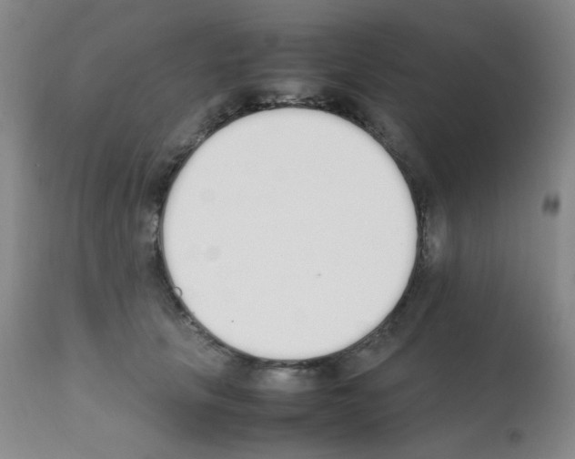 X0000111850657200909031728