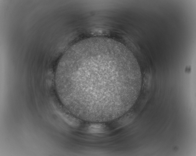 X0000111850659200909031728
