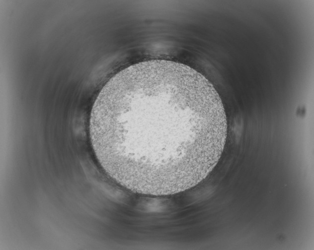 X0000111850663200909031728