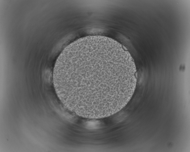 X0000111850669200909031728