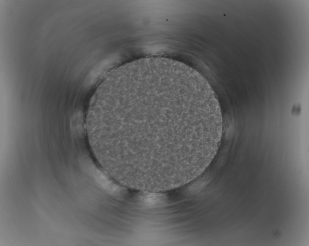 X0000111850670200909031728
