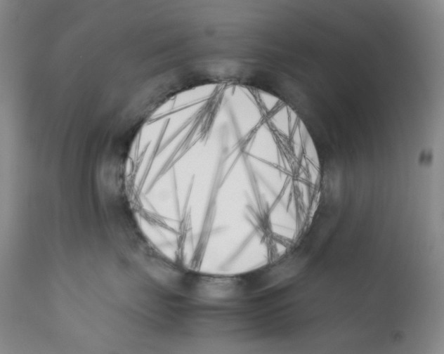 X0000111850671200909031728