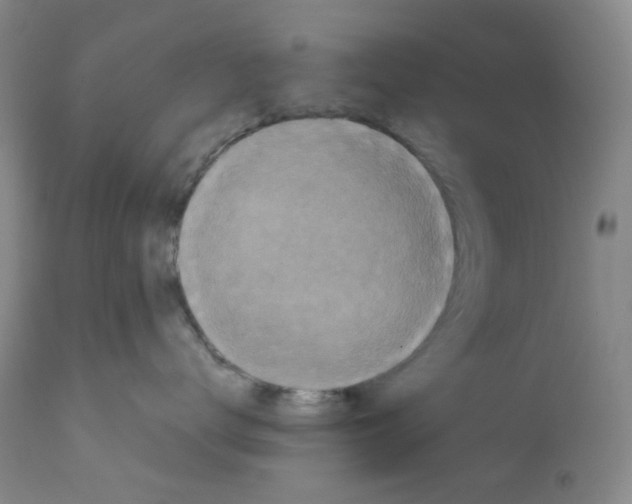 X0000111850672200909031728