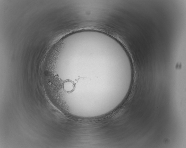 X0000111850673200909031728