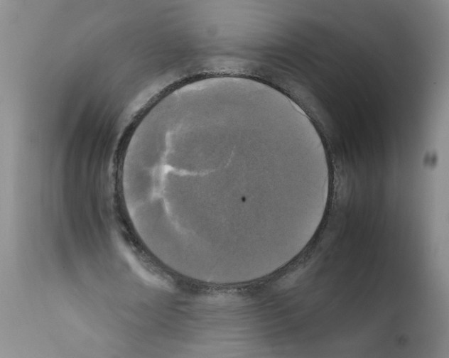 X0000111850674200909031728