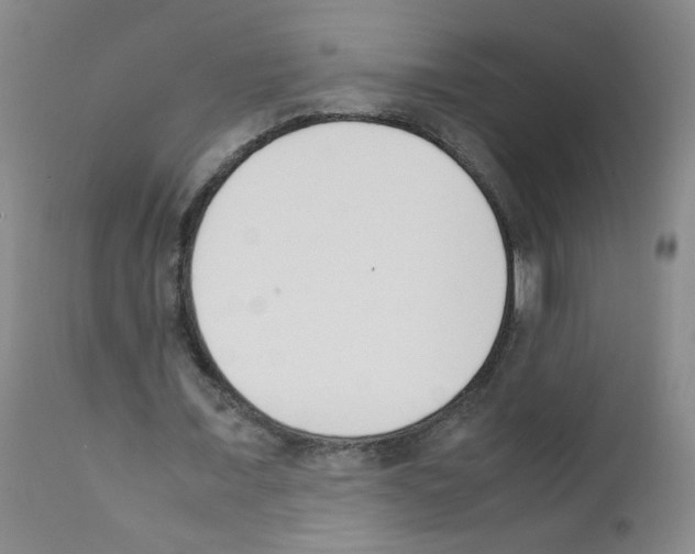 X0000111850675200909031728