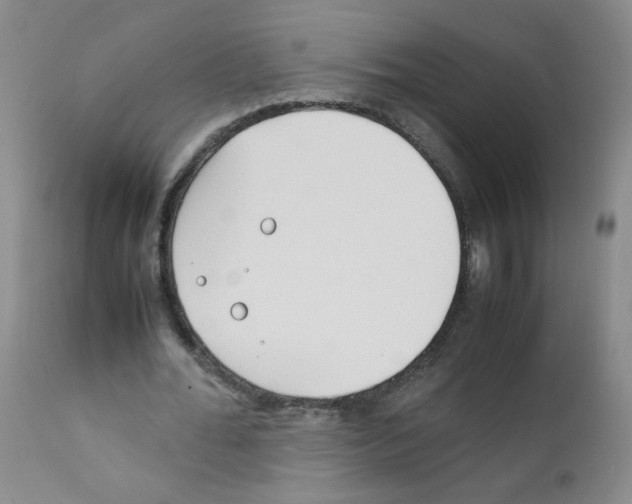 X0000111850676200909031728