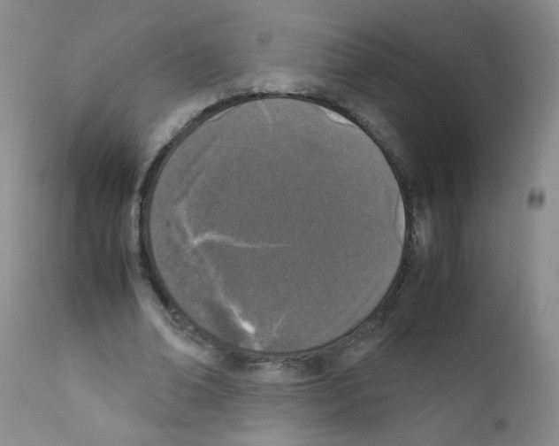 X0000111850678200909031728
