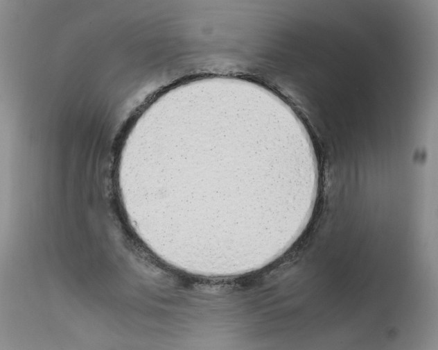 X0000111850679200909031728