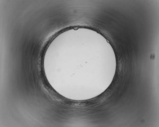 X0000111850680200909031728