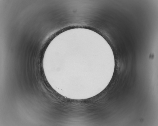 X0000111850684200909031728