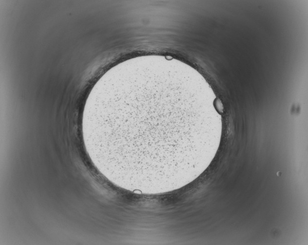 X0000111850685200909031728