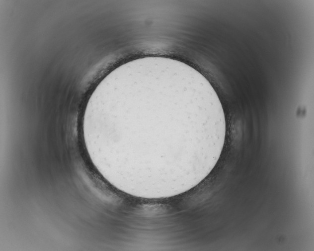 X0000111850686200909031728