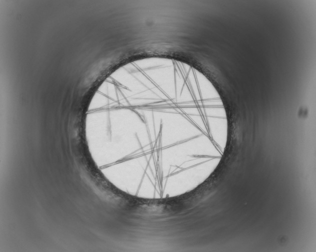 X0000111850687200909031728