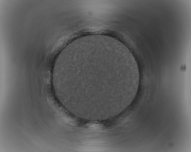 X0000111850689200909031728