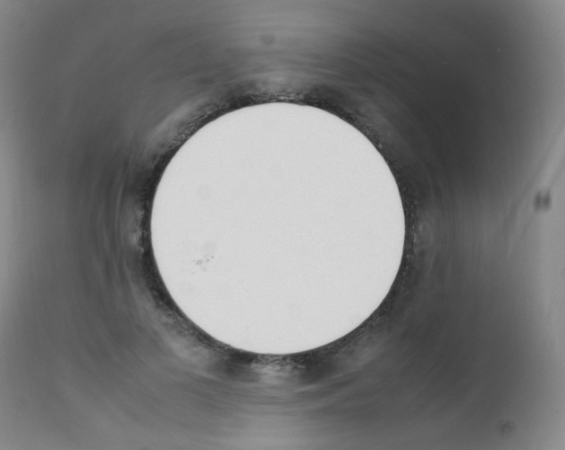 X0000111850693200909031727