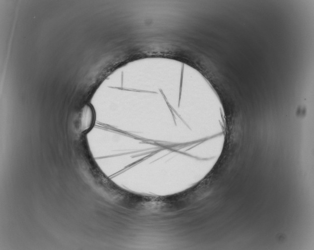 X0000111850695200909031727
