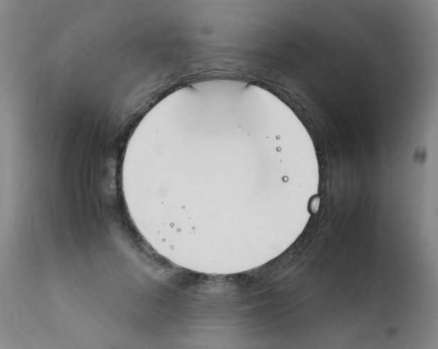 X0000111850696200909031727