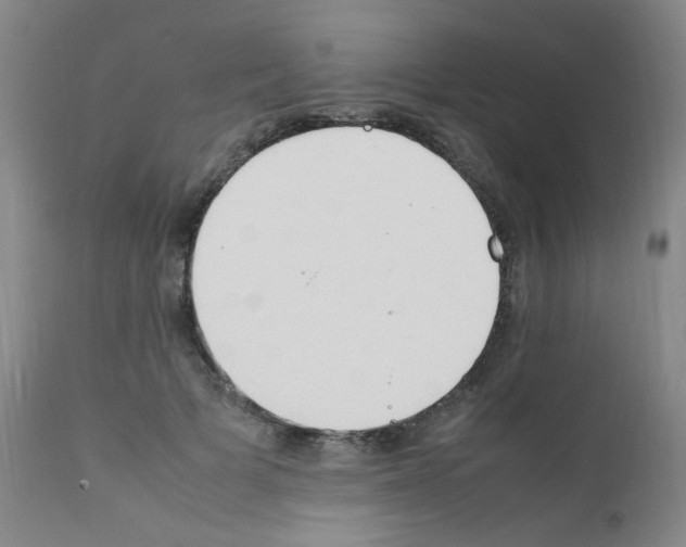 X0000111850697200909031727
