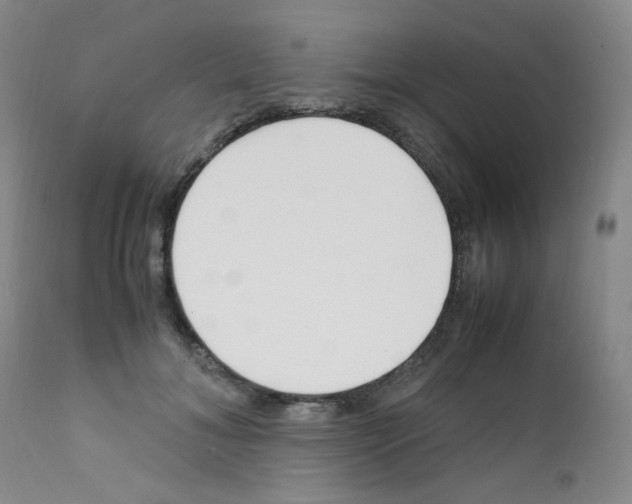 X0000111850700200909031727
